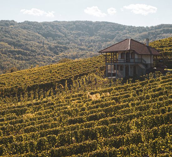 Limo servis Novi Sad – Teddy LImo Limo servis Novi Sad - Teddy LImo