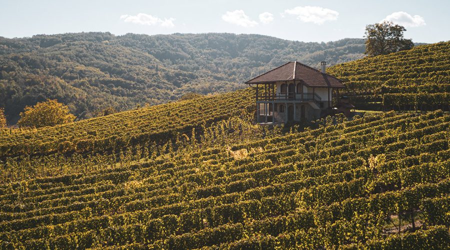 Limo servis Novi Sad - Teddy LImo