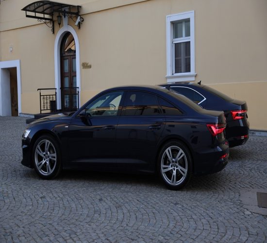 Limo servis Novi Sad - Teddy LImo