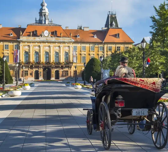 Limo servis Novi Sad – Teddy LImo Limo servis Novi Sad - Teddy LImo