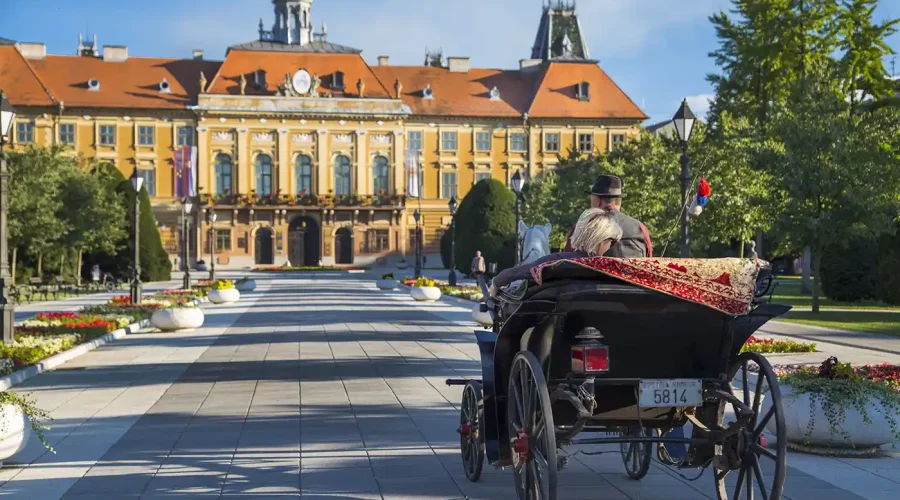 Limo servis Novi Sad - Teddy LImo