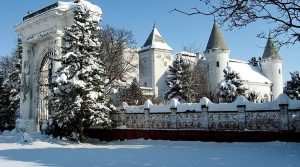 Limo servis Novi Sad - Teddy LImo