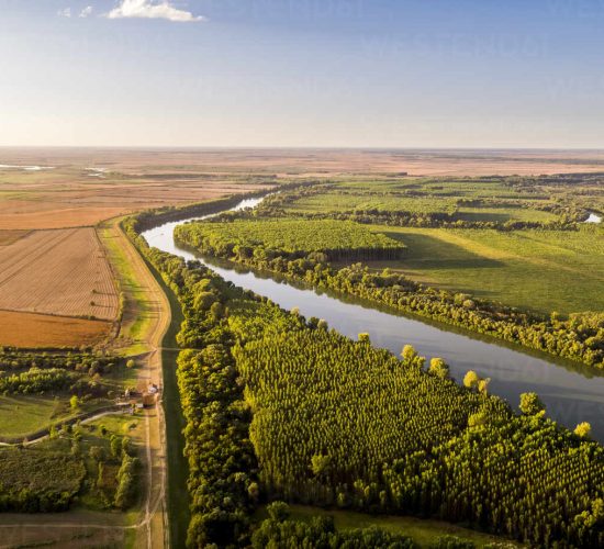 Limo servis Novi Sad – Teddy LImo Limo servis Novi Sad - Teddy LImo