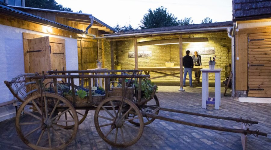 Limo servis Novi Sad - Teddy LImo