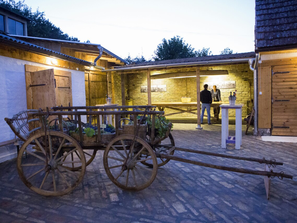 Limo servis Novi Sad - Teddy LImo